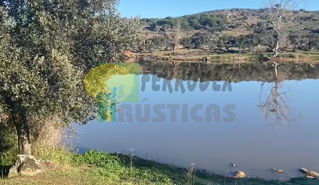 FOTO VIDEO