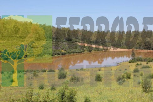 Finca Lomaromera 373Ha actualizado