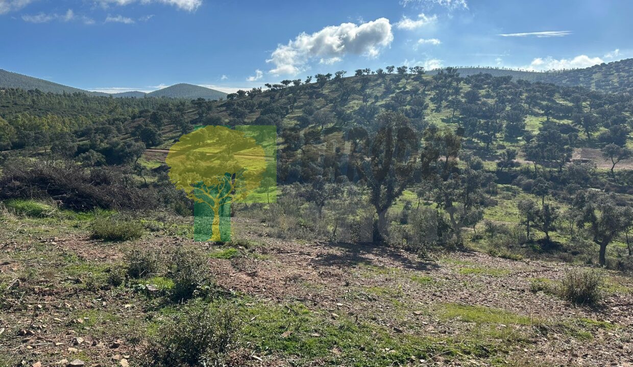 Z3