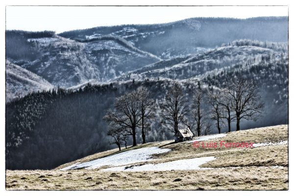 PAISAJE DE MONTAÑA