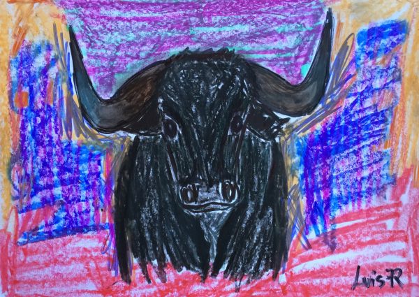 TORO DE FRENTE