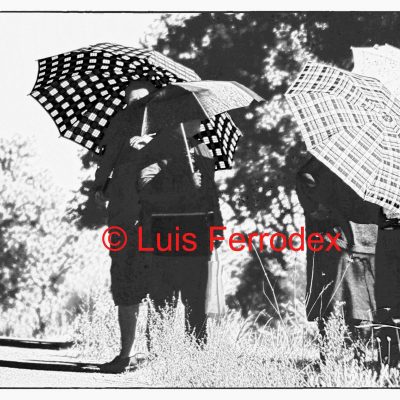 PARAGUAS DE VERANO