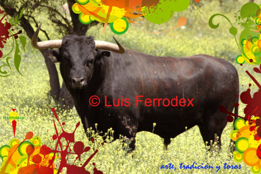 ARTE, TRADICIÓN Y TOROS